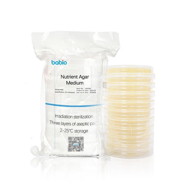 Môi trường agar dinh dưỡng