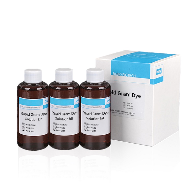Bộ dung dịch thuốc nhuộm Gram nhanh